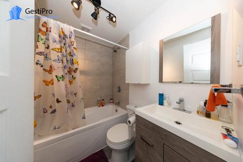 2 bedrooms apartment for rent in Québec - Sainte-Foy–Sillery–Cap-Rouge — photo 7