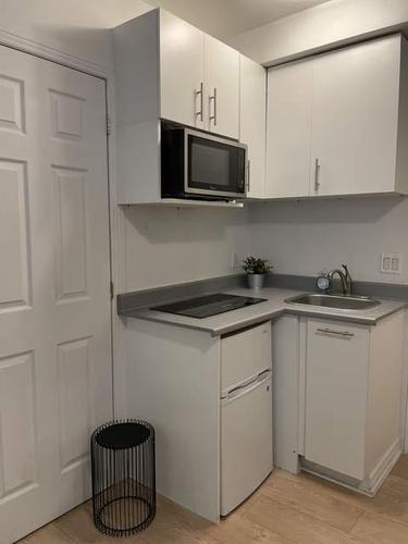1 bedroom apartment for rent in Montreal - Le Plateau-Mont-Royal — photo 3