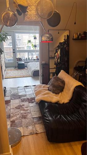 Appartement de 1 chambre à louer à Montreal - Le Plateau-Mont-Royal — photo 4