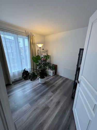 2 bedrooms apartment for rent in Lévis — photo 6