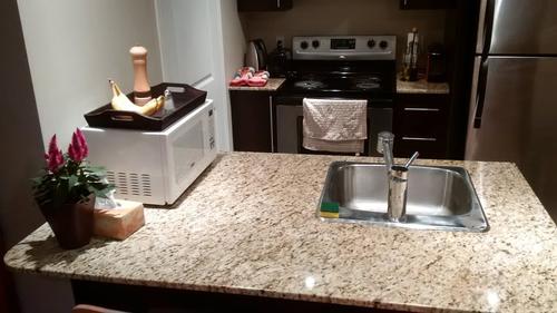 1 bedroom apartment for rent in Montreal - Le Plateau-Mont-Royal — photo 12