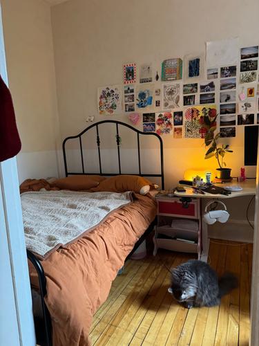 Appartement de 2 chambres à louer à Montreal - Le Plateau-Mont-Royal — photo 14