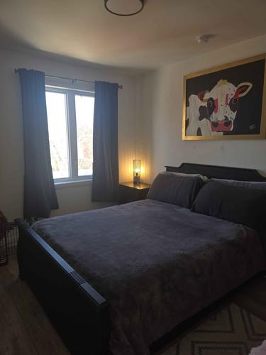 Appartement de 2 chambres à louer à Québec - La Cité-Limoilou — photo 6