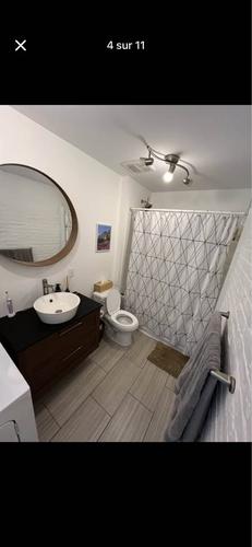 Appartement de 2 chambres à louer à Québec - La Cité-Limoilou — photo 4
