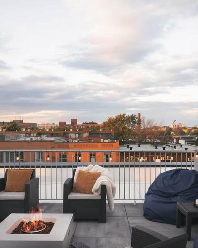 Appartement de 1 chambre à louer à Montreal - Le Plateau-Mont-Royal — photo 10
