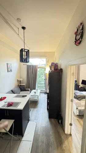 Appartement de 1 chambre à louer à Montreal - Le Plateau-Mont-Royal — photo 8
