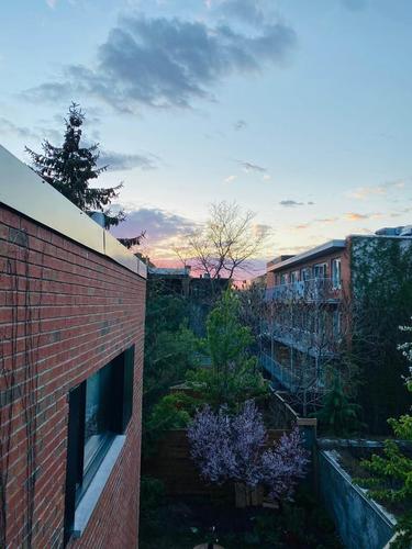 2 bedrooms apartment for rent in Montreal - Le Plateau-Mont-Royal — photo 14