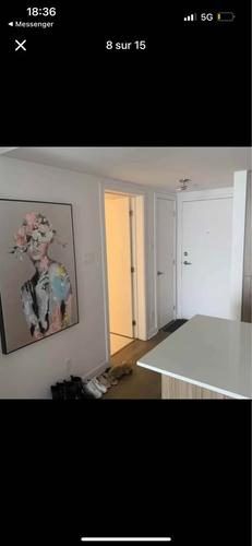 1 bedroom apartment for rent in Montreal - Ahuntsic-Cartierville — photo 8