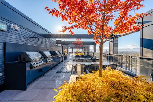 2 bedrooms apartment for rent in Montreal - Ville-Marie — photo 24