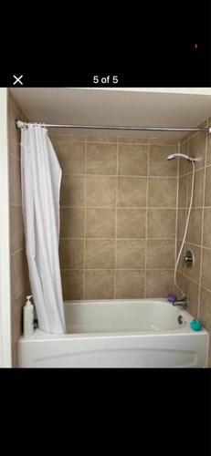 Appartement de 2 chambres à louer à Québec - La Cité-Limoilou — photo 3