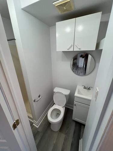 Appartement de 1 chambre à louer à Gatineau — photo 4