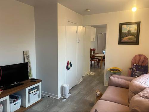 1 bedroom apartment for rent in Lévis — photo 4