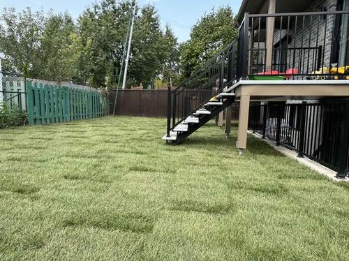 Appartement de 3 chambres à louer à Longueuil — photo 17