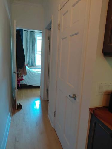 1 bedroom apartment for rent in Montreal - Le Plateau-Mont-Royal — photo 5