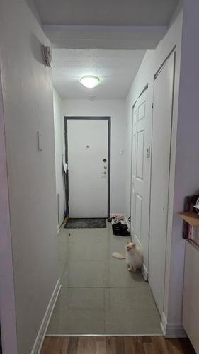 Studio for rent in Montreal - Le Plateau-Mont-Royal — photo 6
