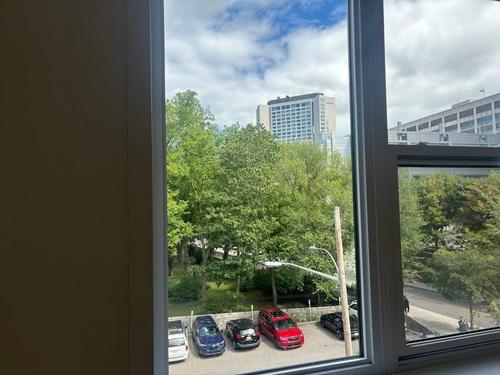 Studio à louer à Québec - La Cité-Limoilou — photo 11