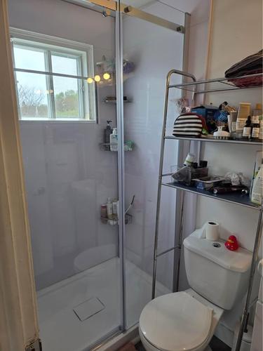 1 bedroom apartment for rent in Lévis — photo 3
