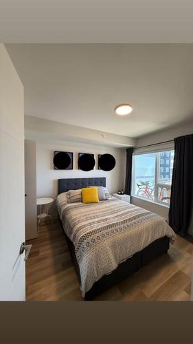1 bedroom apartment for rent in Lévis — photo 6