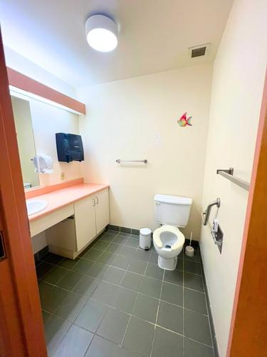 1 bedroom apartment for rent in Lévis — photo 3