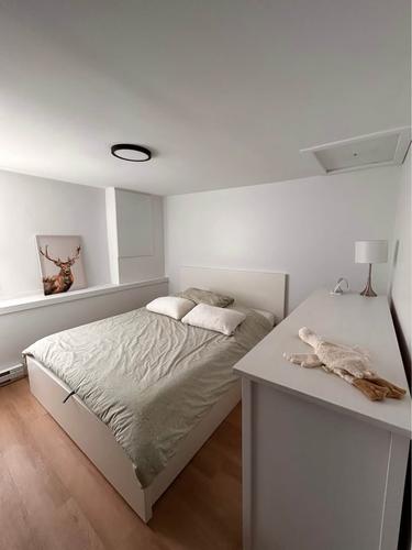 Appartement de 1 chambre à louer à Lévis — photo 7