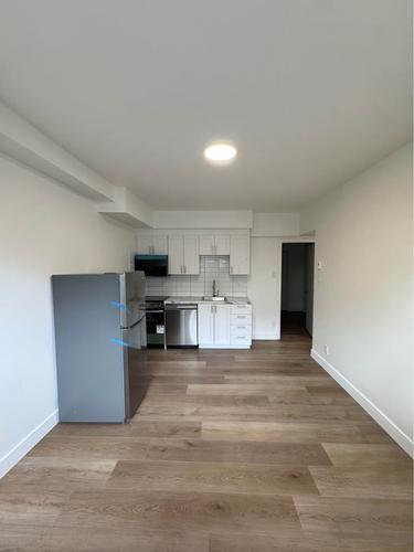 1 bedroom apartment for rent in Montreal - Rosemont–La Petite-Patrie — photo 3