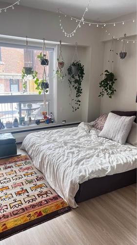 Appartement de 1 chambre à louer à Montreal - Le Plateau-Mont-Royal — photo 8