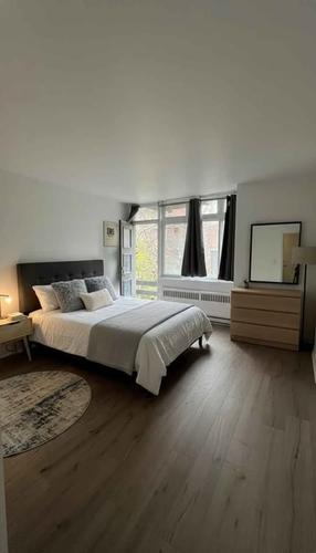 Studio à louer à Montreal - Le Plateau-Mont-Royal — photo 9