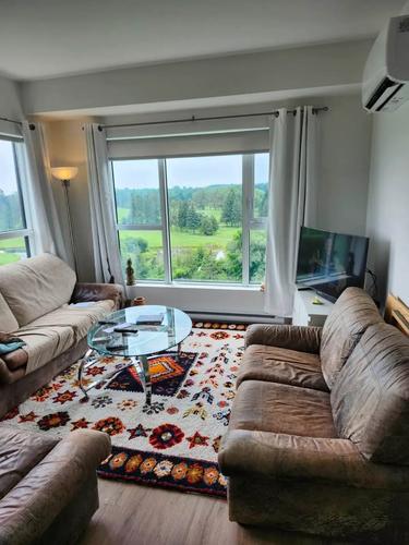 1 bedroom apartment for rent in Gatineau — photo 4