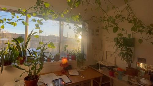 2 bedrooms apartment for rent in Montreal - Villeray–Saint-Michel–Parc-Extension — photo 2