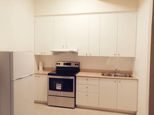 2 bedrooms apartment for rent in Montreal - Ville-Marie — photo 3