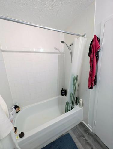 1 bedroom apartment for rent in Sherbrooke — photo 4
