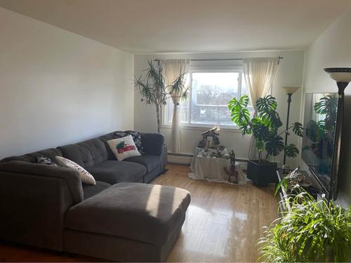Appartement de 3 chambres à louer à Saint-Lambert (Montérégie) — photo 5