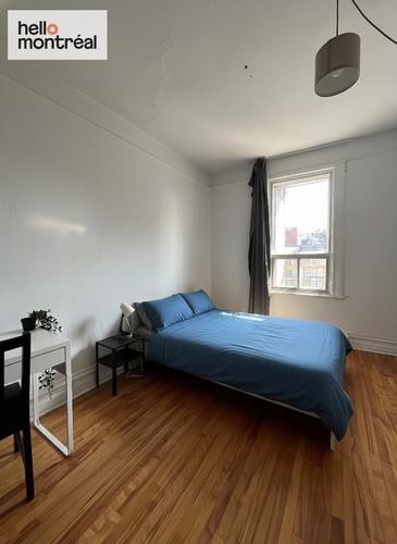 4 bedrooms apartment for rent in Montreal - Le Plateau-Mont-Royal — photo 12