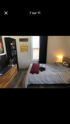 1 bedroom apartment for rent in Québec - La Cité-Limoilou — photo 6