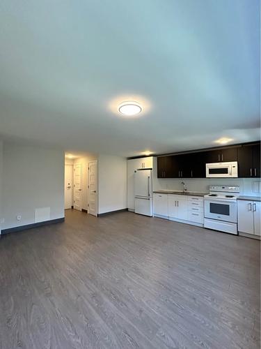 2 bedrooms apartment for rent in Montreal - Le Plateau-Mont-Royal — photo 2