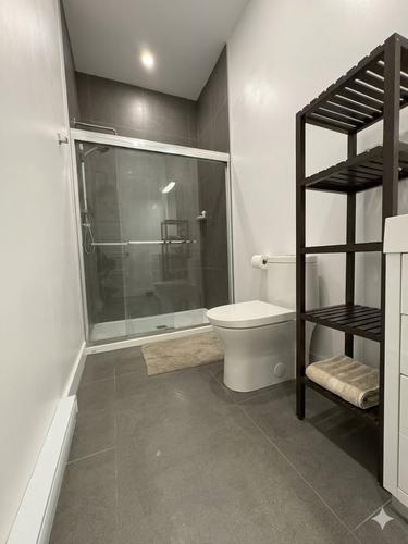 2 bedrooms apartment for rent in Montreal - Le Plateau-Mont-Royal — photo 10