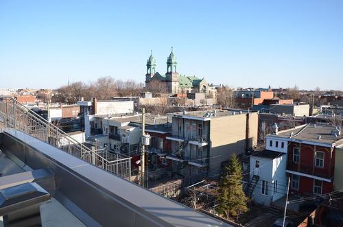 1 bedroom apartment for rent in Montreal - Rosemont–La Petite-Patrie — photo 10