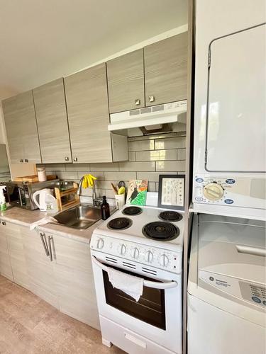 Appartement de 1 chambre à louer à Montreal - Le Plateau-Mont-Royal — photo 3