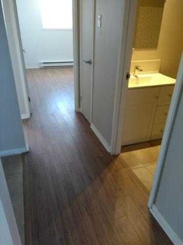 2 bedrooms apartment for rent in Lévis — photo 6