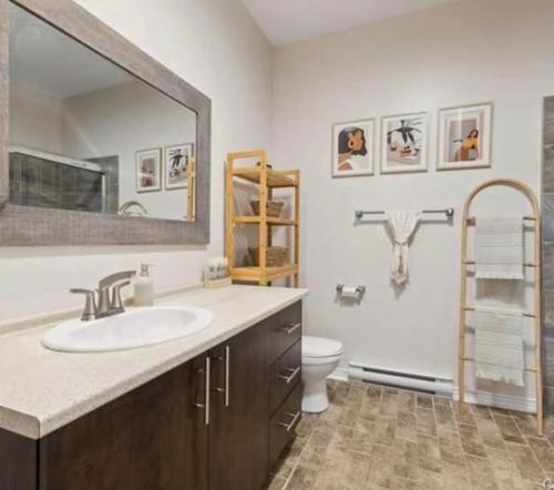 1 bedroom apartment for rent in Gatineau — photo 4