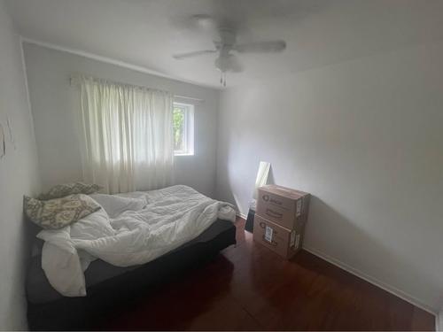 1 bedroom apartment for rent in Montreal - Le Plateau-Mont-Royal — photo 3