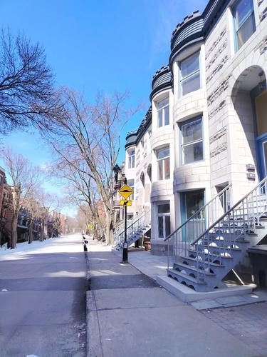 Appartement de 2 chambres à louer à Montreal - Le Plateau-Mont-Royal — photo 25
