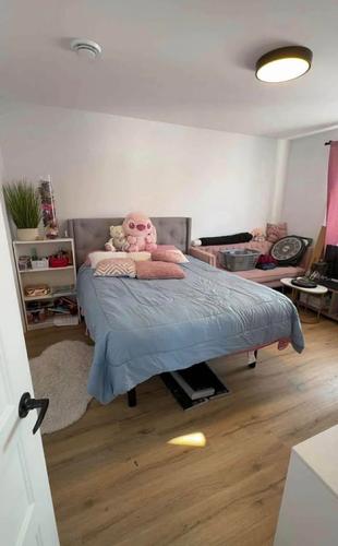 2 bedrooms apartment for rent in Lévis — photo 10