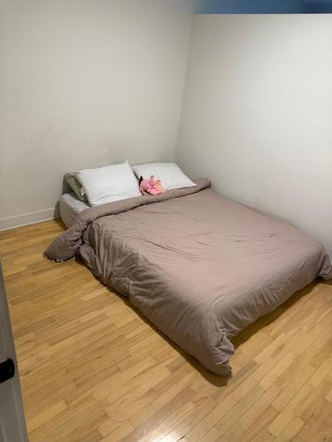 1 bedroom apartment for rent in Montreal - Rosemont–La Petite-Patrie — photo 3
