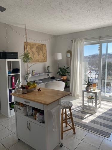 Appartement de 1 chambre à louer à Sherbrooke — photo 3