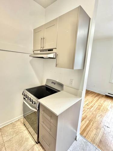 1 bedroom apartment for rent in Montreal - Le Plateau-Mont-Royal — photo 4