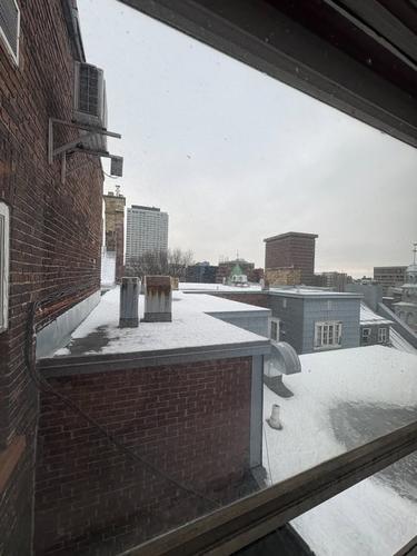 Appartement de 1 chambre à louer à Québec - La Cité-Limoilou — photo 3