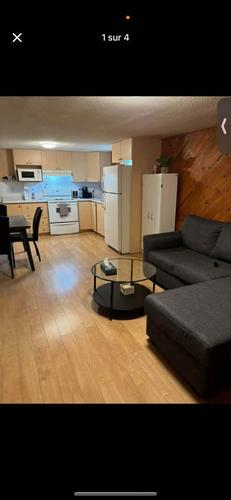 Appartement de 1 chambre à louer à Gatineau — photo 2