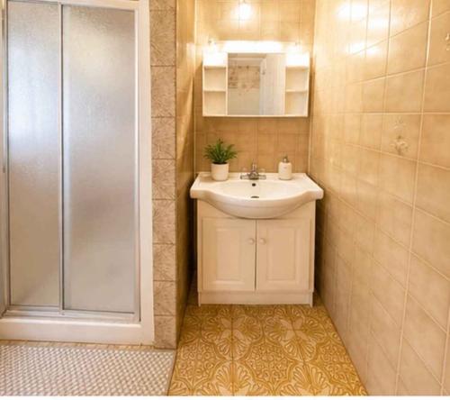 1 bedroom apartment for rent in Montreal - Villeray–Saint-Michel–Parc-Extension — photo 7