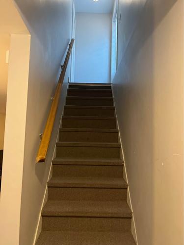 1 bedroom apartment for rent in Lévis — photo 9